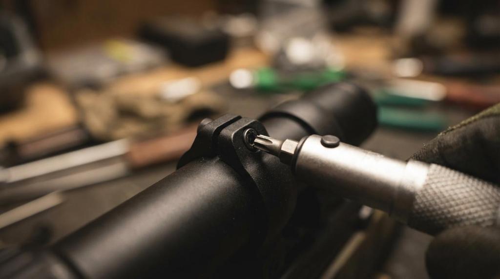 Montager til sigtekikkerter: Weaver, Picatinny, ringe og moment