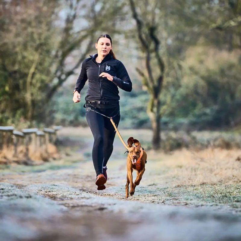 Non-Stop Dogwear Canix Løbebælte 2.0, Str. S Sort Single