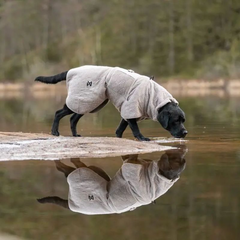 Non-Stop Dogwear Drying Coat