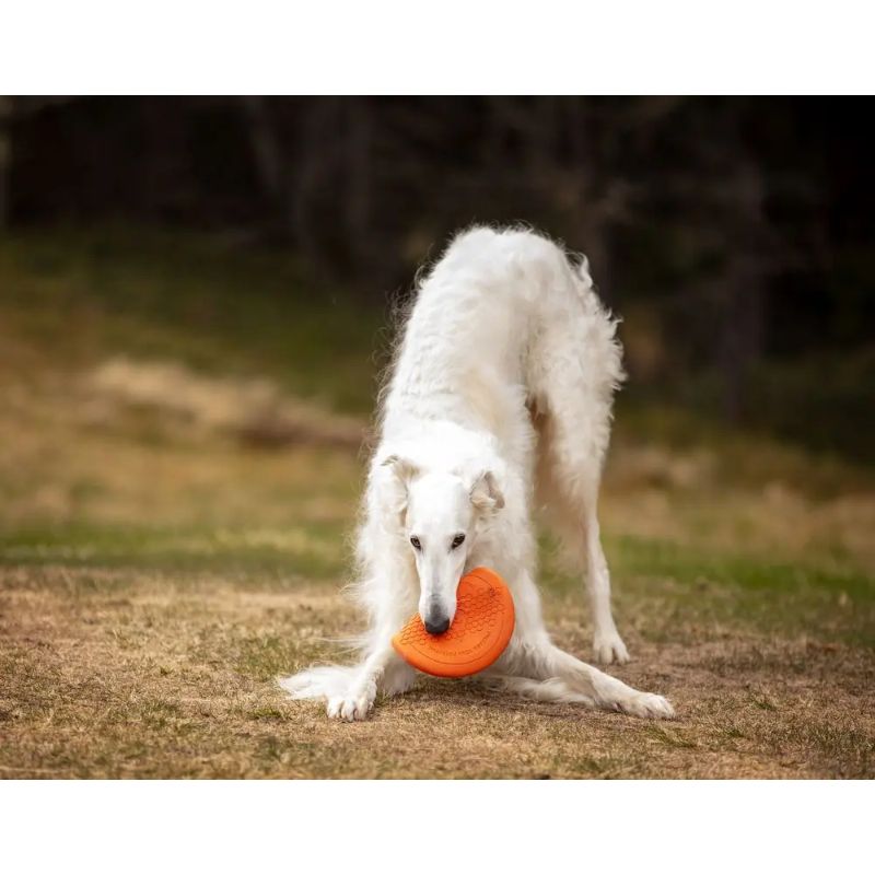 Non-Stop Dog Flying Disc Orange