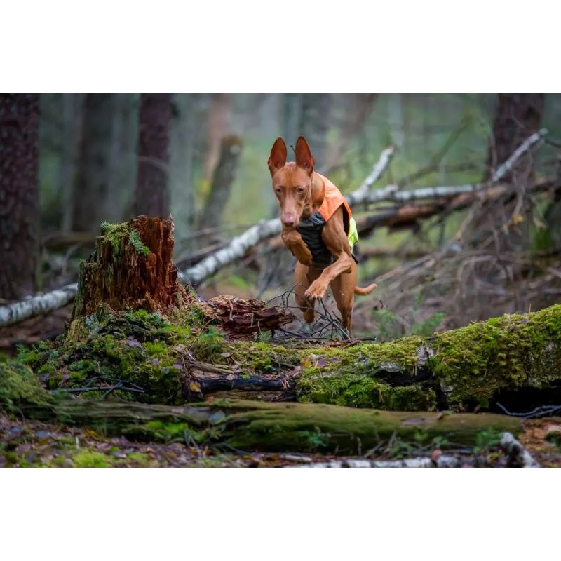 Non-Stop Protector Vest XS Orange