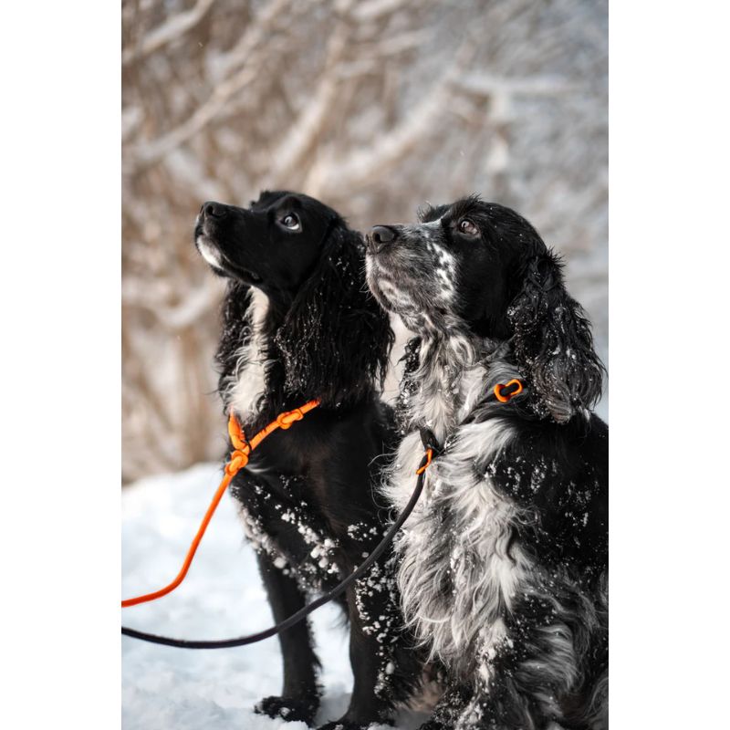 Non-Stop Retriever Leash 1,6m/8mm Black