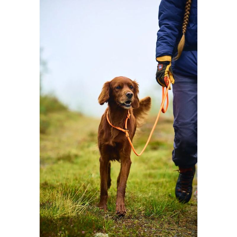 Non-Stop Dogwear Retriever Line