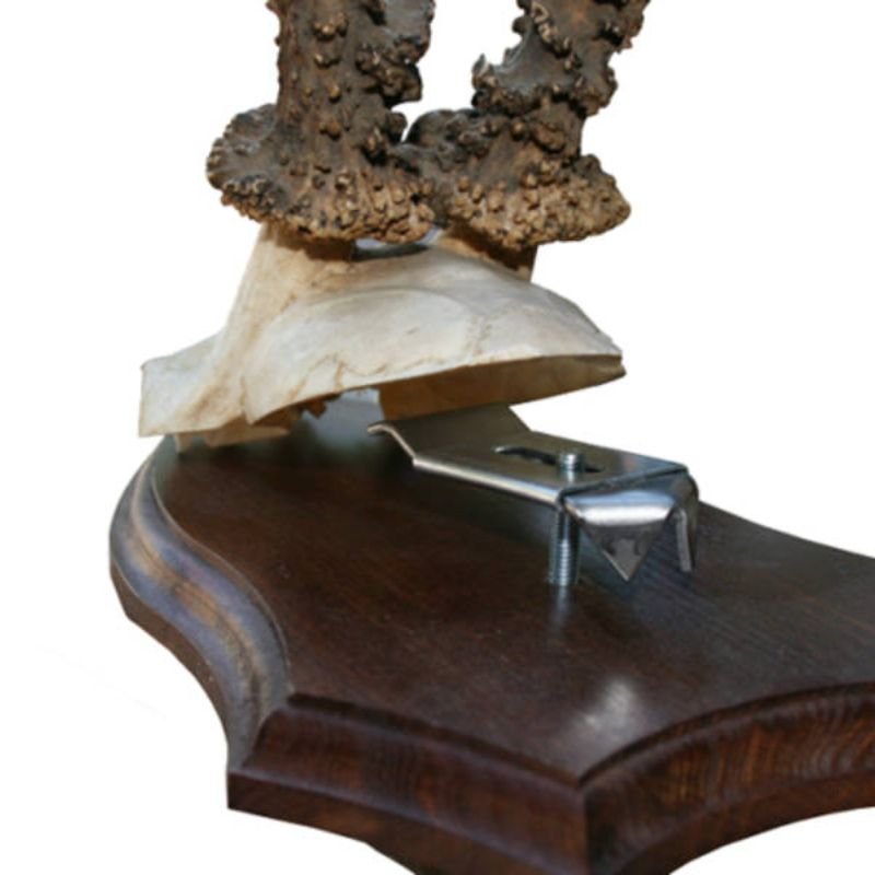 Mjoelner Hunting Beslag til bukkeplader (wegu)