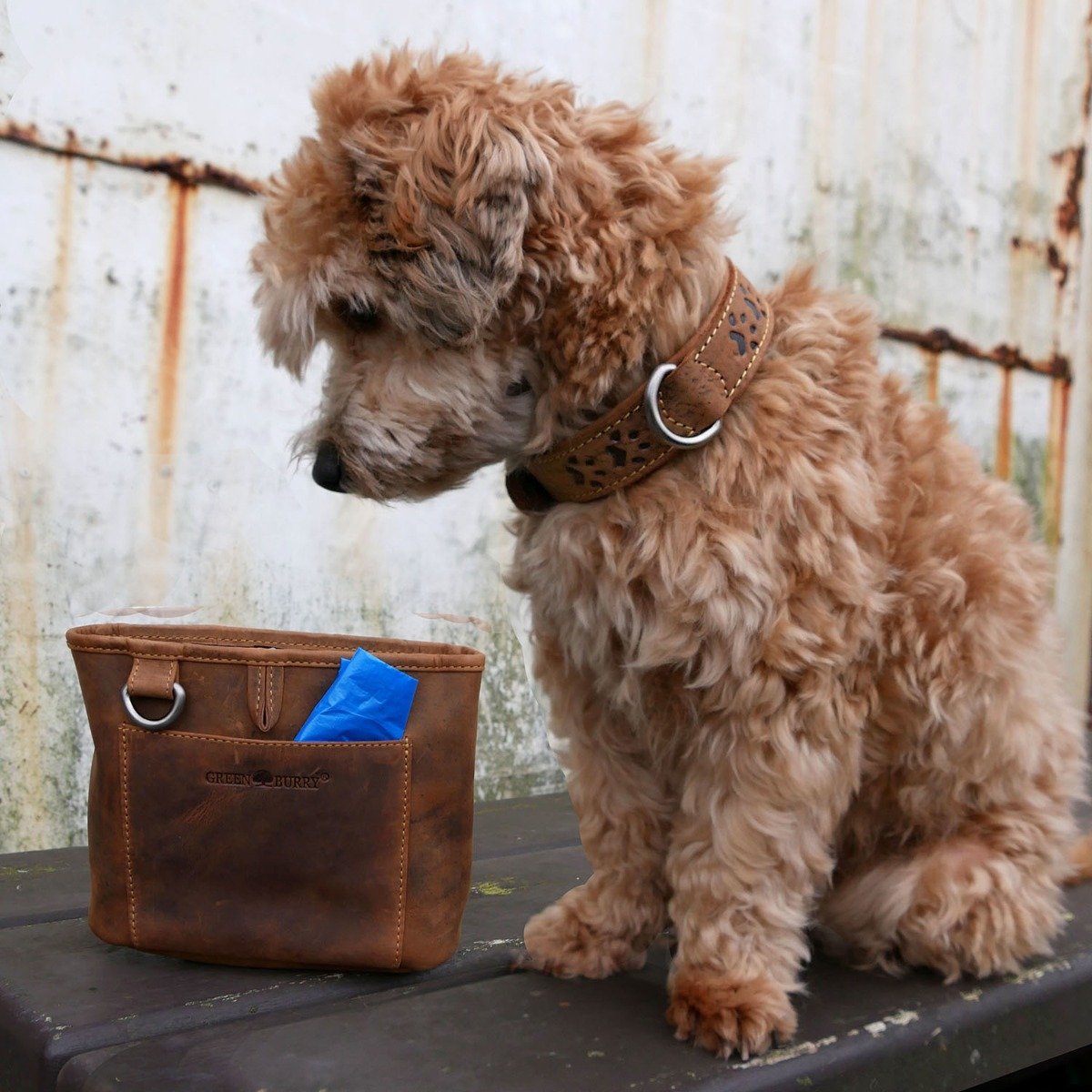 Green Burry Patron- eller Godbidspung