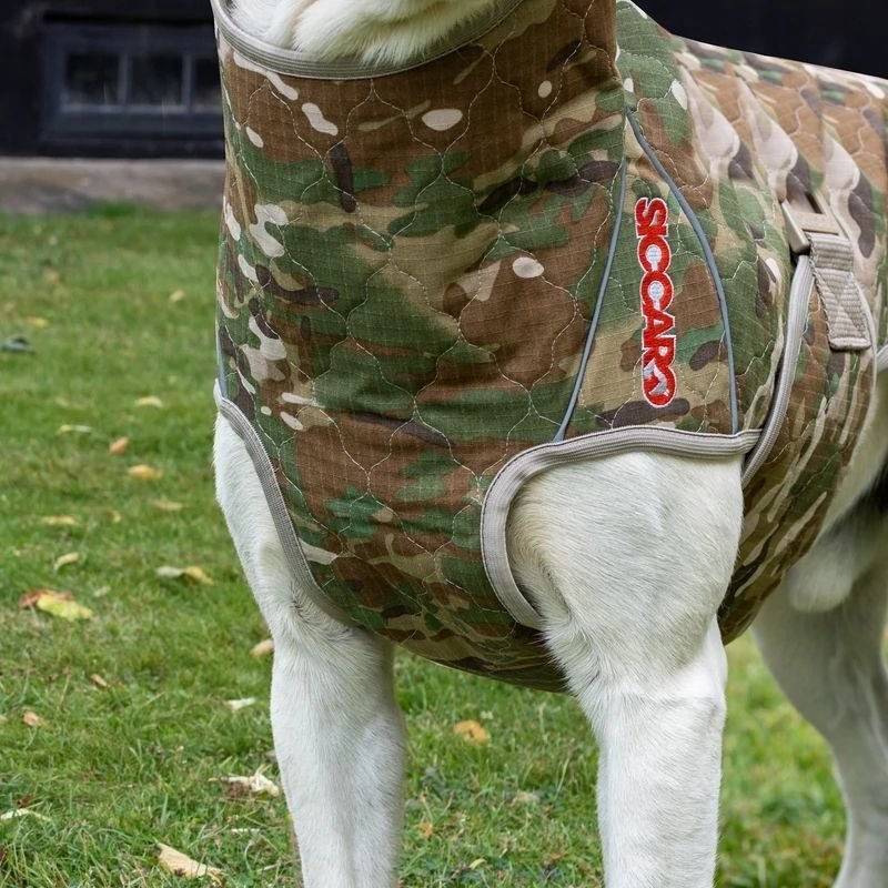 Siccaro Spirit 2,0 Camo 60