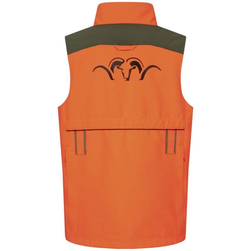 Blaser Striker DH Vest