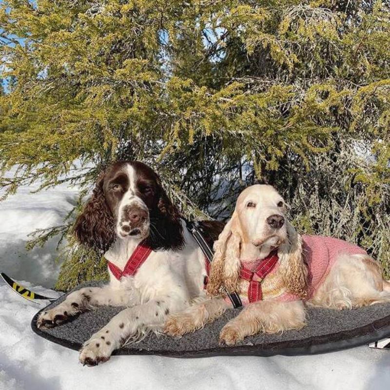 Canelana Uldmadras 70x90 Grå