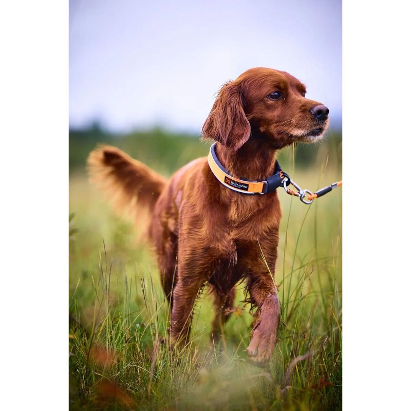 Non-Stop Dogwear Protector Halsbånd 55, Orange Single