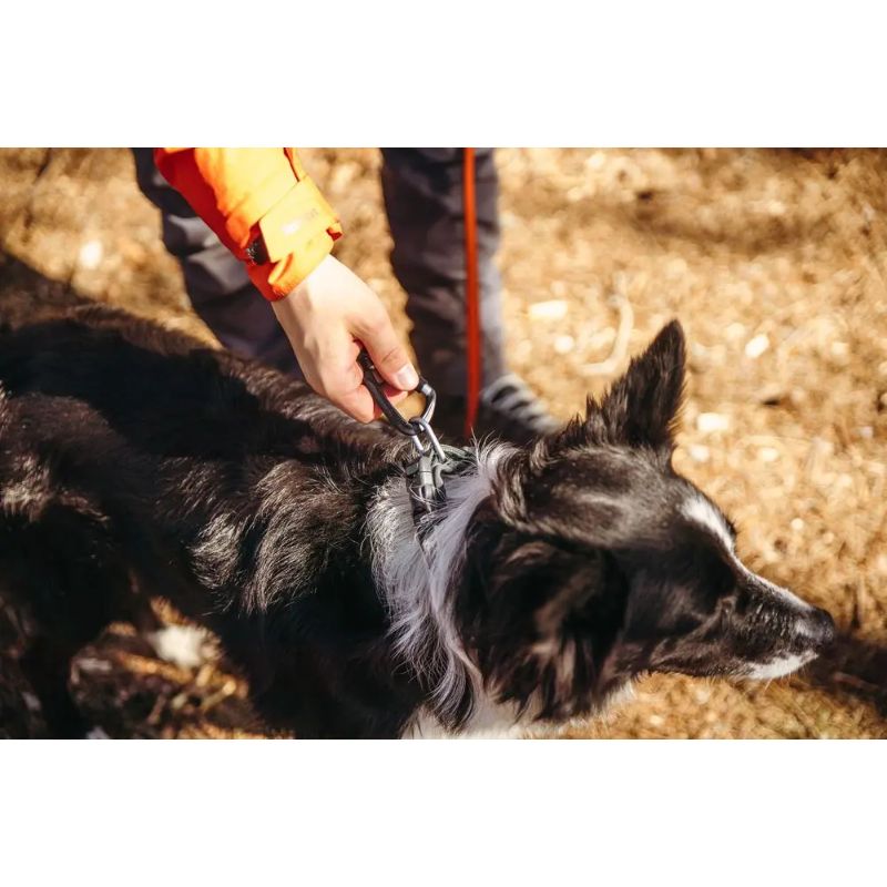 Non-Stop Roam Halsbånd