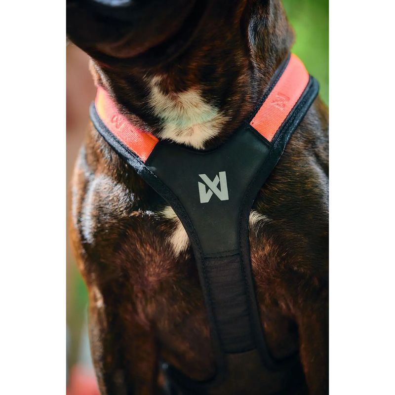 Non-Stop Dogwear Rush Sele